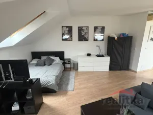 Pronájem bytu 1+kk, Opava - Předměstí, Na Rybníčku, 50 m2