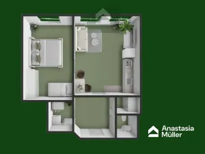 Pronájem bytu 2+kk, Plzeň - Východní Předměstí, Sladkovského, 55 m2