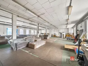 Prodej činžovního domu, Krnov - Pod Cvilínem, Stará, 1100 m2