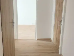 Pronájem bytu 2+1, Chomutov, Dřínovská, 61 m2