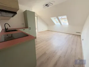 Pronájem bytu 2+kk, Praha, Kotlaska, 58 m2