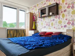 Prodej bytu 2+1, Praha - Karlín, Nekvasilova, 56 m2