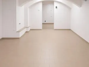 Pronájem výrobních prostor, Český Těšín, 220 m2