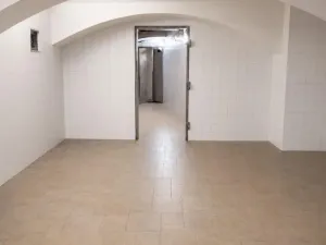 Pronájem výrobních prostor, Český Těšín, 220 m2