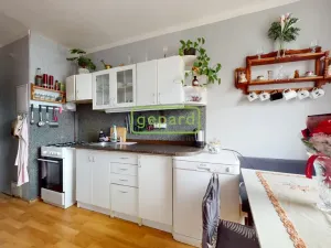 Prodej bytu 2+1, Ústí nad Labem - Krásné Březno, Anežky České, 53 m2