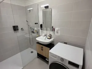 Pronájem bytu 3+1, Opava, Boženy Němcové, 63 m2