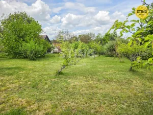 Prodej zemědělské usedlosti, Chvalatice, 76 m2