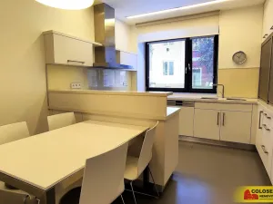 Pronájem rodinného domu, Brno, Dykova, 316 m2