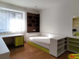 Pronájem rodinného domu, Brno, Dykova, 316 m2