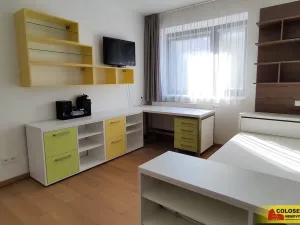 Pronájem rodinného domu, Brno, Dykova, 316 m2
