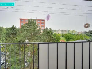 Pronájem bytu 3+1, Olomouc - Nová Ulice, Jílová, 74 m2