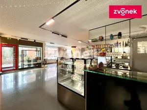Pronájem restaurace, Zlín, Filmová, 318 m2