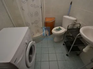 Pronájem bytu 1+kk, Plzeň, Čelakovského, 20 m2