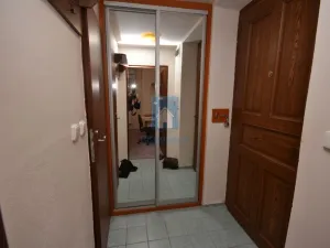 Pronájem bytu 1+kk, Plzeň, Čelakovského, 20 m2