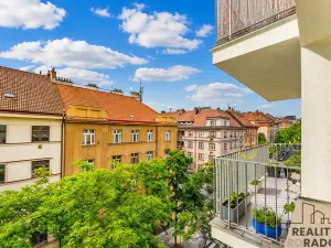Prodej bytu 1+kk, Praha, Kališnická, 34 m2