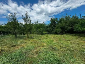 Prodej rodinného domu, Hulín - Chrášťany, 370 m2