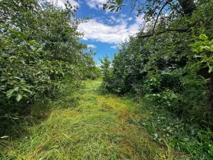 Prodej rodinného domu, Hulín - Chrášťany, 370 m2