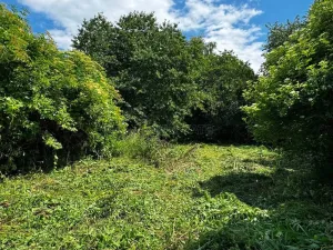 Prodej zemědělské usedlosti, Hulín - Chrášťany, 370 m2