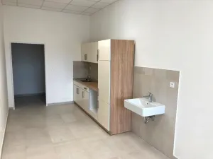 Prodej skladu, Bílina, Radovesická, 13211 m2