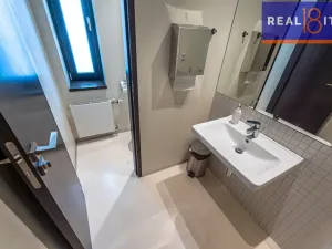 Pronájem vily, Praha, U Hadovky, 400 m2