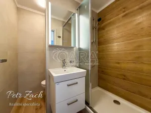 Pronájem bytu 1+1, Olomouc - Neředín, Politických vězňů, 39 m2