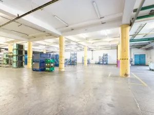 Pronájem skladu, Písek - Budějovické Předměstí, U Vodárny, 3620 m2