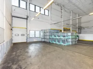 Pronájem výrobních prostor, Písek - Budějovické Předměstí, U Vodárny, 3025 m2
