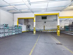 Pronájem výrobních prostor, Písek - Budějovické Předměstí, U Vodárny, 3025 m2