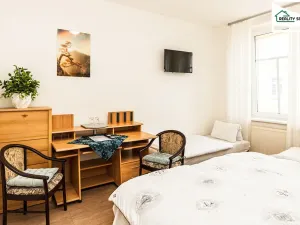Pronájem bytu 1+kk, Cheb, Svobody, 22 m2