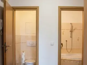 Pronájem bytu 3+1, České Budějovice, Dobrovodská, 66 m2