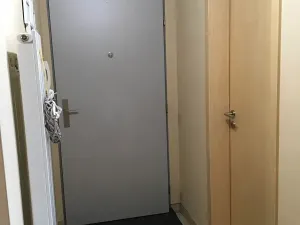 Prodej bytu 3+kk, Brno, Škroupova, 64 m2