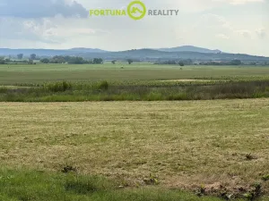 Prodej sadu/vinice, Velké Bílovice, 1039 m2