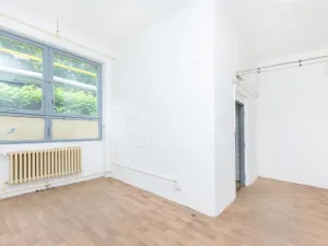 Pronájem výrobních prostor, Písek - Budějovické Předměstí, U Vodárny, 110 m2