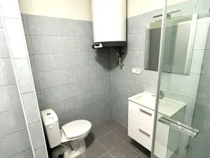 Prodej vícegeneračního domu, Písek, V Koutě, 786 m2