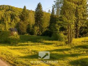 Prodej louky, Svor, 1715 m2