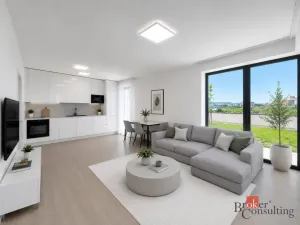Pronájem bytu 2+kk, Plzeň - Jižní Předměstí, Železná, 55 m2
