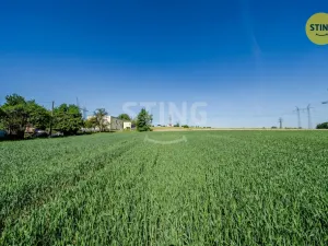Prodej pozemku pro bydlení, Pazderna, 1000 m2