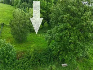 Prodej louky, Oloví, Horní, 420 m2