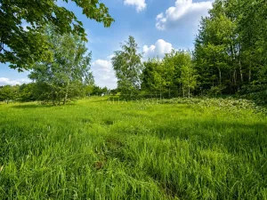 Prodej louky, Oloví, Horní, 420 m2