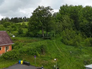 Prodej louky, Oloví, Horní, 420 m2