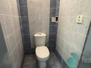 Pronájem skladu, Kamenný Újezd, Na Dolech, 57 m2