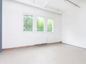 Pronájem skladu, Písek - Budějovické Předměstí, U Vodárny, 288 m2