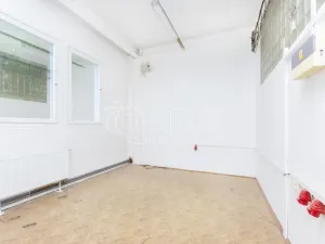 Pronájem skladu, Písek - Budějovické Předměstí, U Vodárny, 288 m2