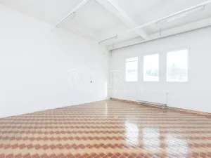 Pronájem skladu, Písek - Budějovické Předměstí, U Vodárny, 288 m2