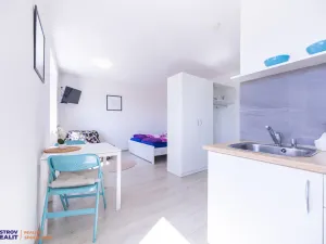 Prodej apartmánu, Staré Město - Stříbrnice, 30 m2