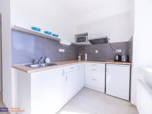 Prodej apartmánu, Staré Město - Stříbrnice, 30 m2