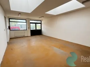 Pronájem výrobních prostor, České Budějovice, K Dolíčku, 314 m2
