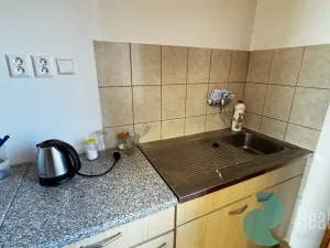 Pronájem výrobních prostor, České Budějovice, K Dolíčku, 314 m2
