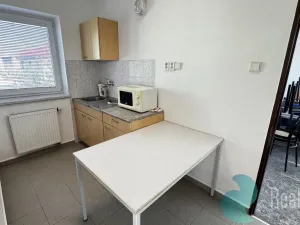 Pronájem výrobních prostor, České Budějovice, K Dolíčku, 314 m2