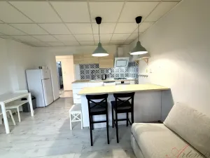 Pronájem bytu 2+kk, Ostrava - Moravská Ostrava, Nedbalova, 48 m2
